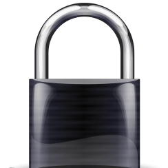 Animated padlock icon representing an SSL/TLS encrypted connection